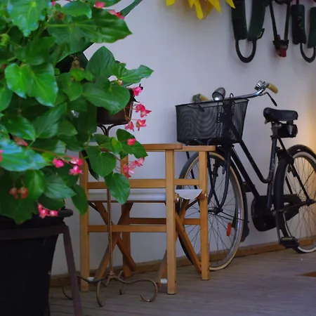 Il Girasole High Quality 3*