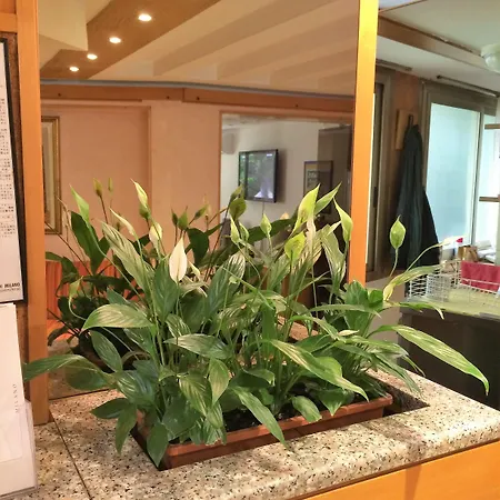 奇塔斯都妮酒店 3*