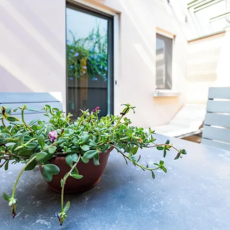 Citta Studi - Collection Pensjonat Mediolan