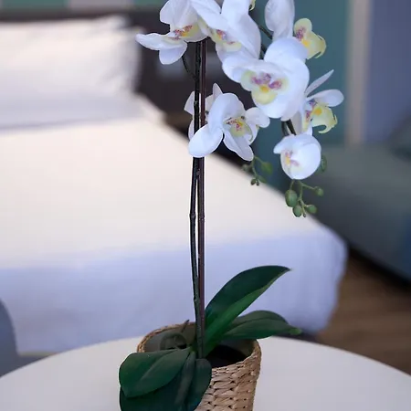 Ca' San Cristoforo Gæstehus