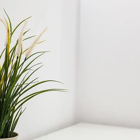 Meraviglioso Nel Centro Di Appartement *