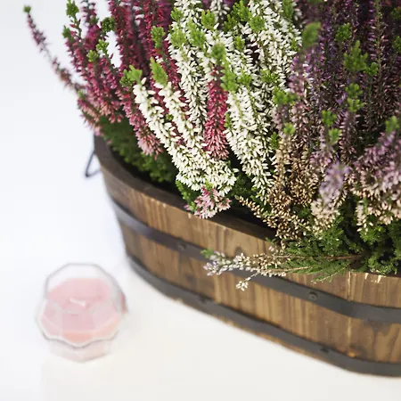 Alessia's Flat - Portello Milano