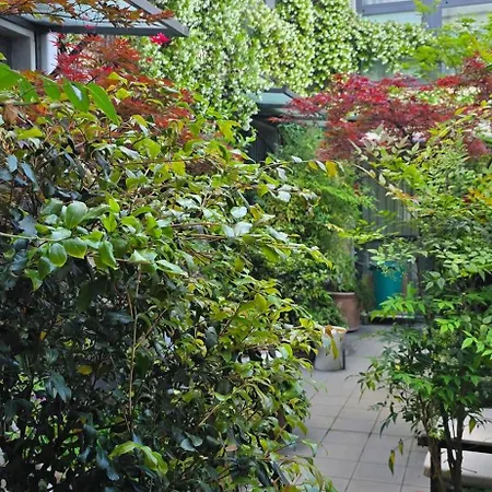 Bocconi Porta Romana Fondazione Prada In Penthouse