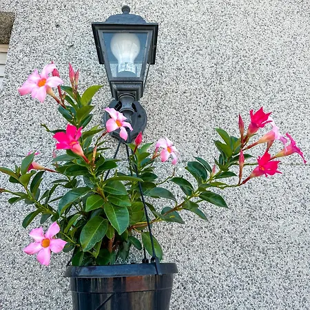 Panoramic Apartamento Milán