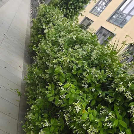 Bocconi Porta Romana Fondazione Prada In Penthouse