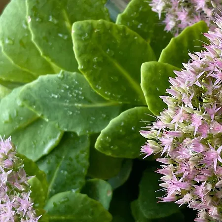 Appartamento The Collector's - Private Terrace On Navigli *