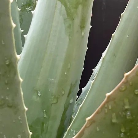 Appartamento The Collector's - Private Terrace On Navigli Milano