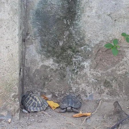 Architect Design 15 Min Duomo * Milano