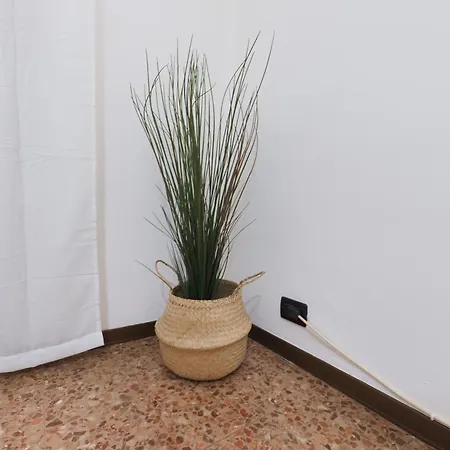 Appartement Primopiano - Corsica