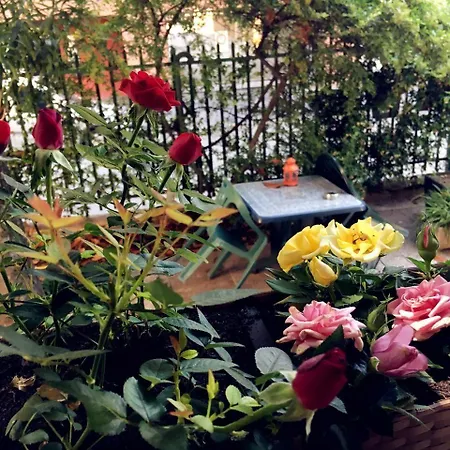 Hotel Brivio Mediolan