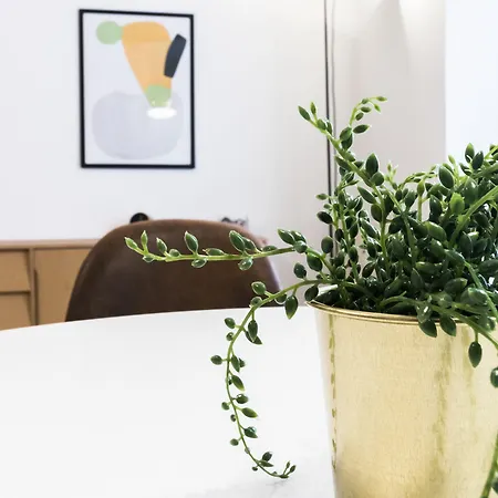 Italianway Easy - Palazzi 6 *