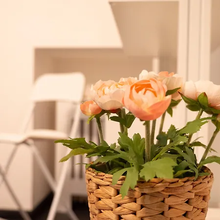 Guest house Blocco Sauli 4*