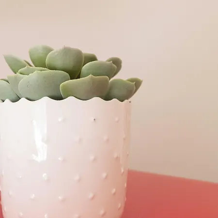 Italianway Collection - Stradivari 4 Lejlighed