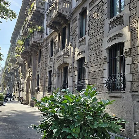 The Dream Centro