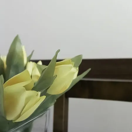 דירה Dupre 5 מילאנו