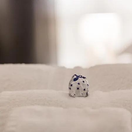 公寓 Republic Luxury Loft 米兰