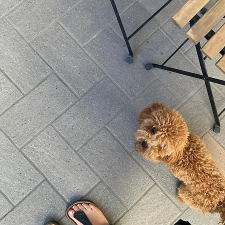 Casa Di Chloe - A 4 Minuti A Piedi Dai Navigli - A 20 Minuti A Piedi Dal Duomo Daire Milano