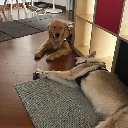아파트 Casa Di Chloe - A Pochi Passi Dai Navigli Bocconi-naba-iulm -raggiungile Il Duomo A Piedi *