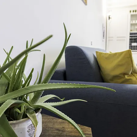 Italianway - Piceno 44 *