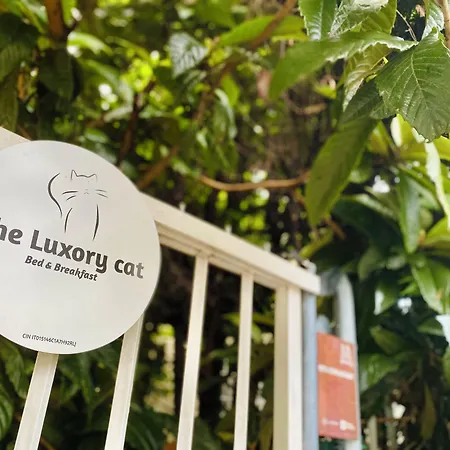The Luxory Cat فندق مبيت وإفطار 3*
