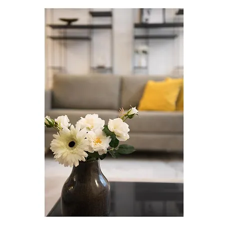 Luxury - Penthouse In Historic Center