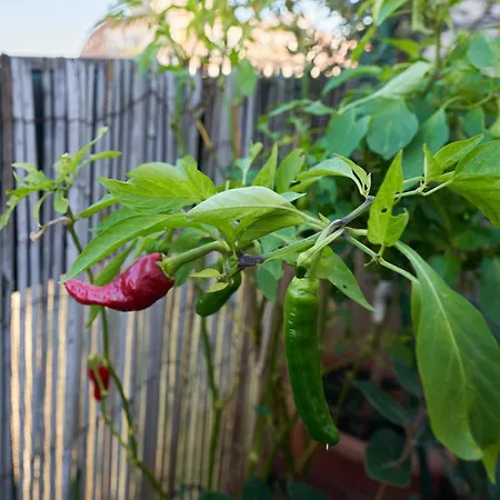 Attico Con Terrazzo - - Duomo 10min *