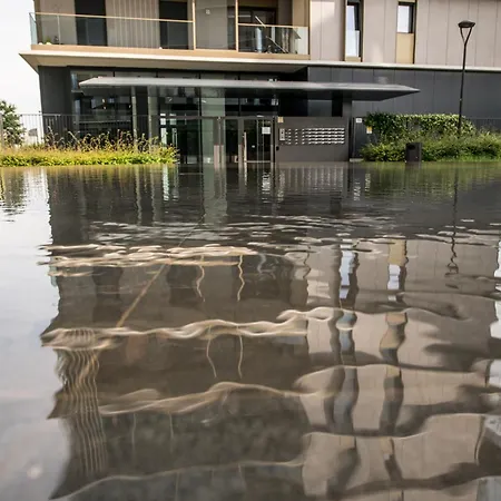 Vivare - The Fifth Daire *