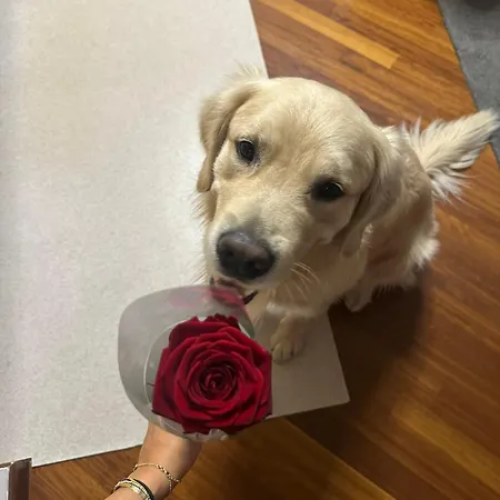 Daire Casa Di Chloe - A 4 Minuti A Piedi Dai Navigli - A 20 Minuti A Piedi Dal Duomo Milano