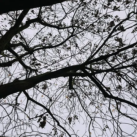 Apartman Luxury - Zen Urban Retreat *