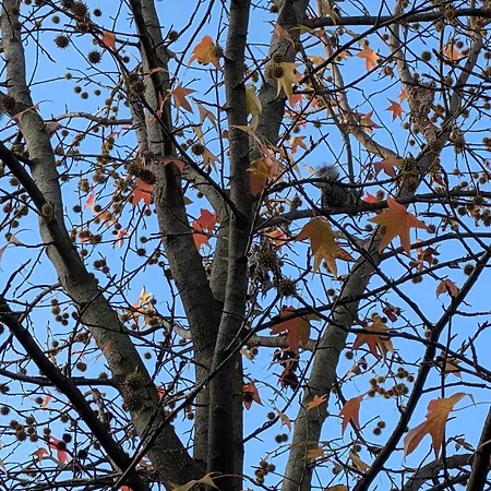 Luxury - Zen Urban Retreat