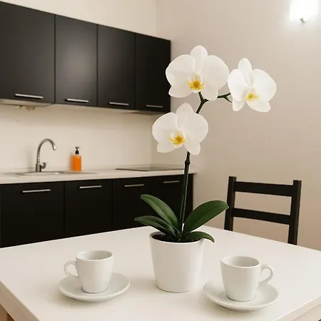 Modern In Milan, Isola Area *