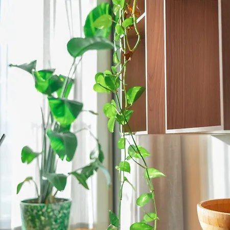 Апартаменты Crespi Terrace, Private Parking, A Few Steps From The Metro Милан