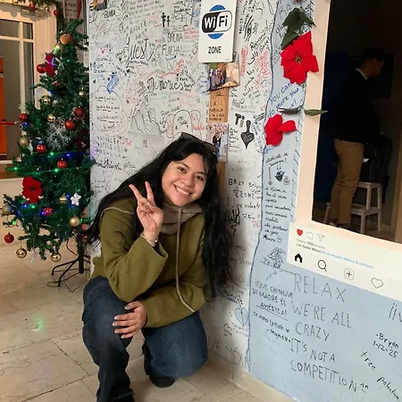 Lion & Youth Vandrarhem *