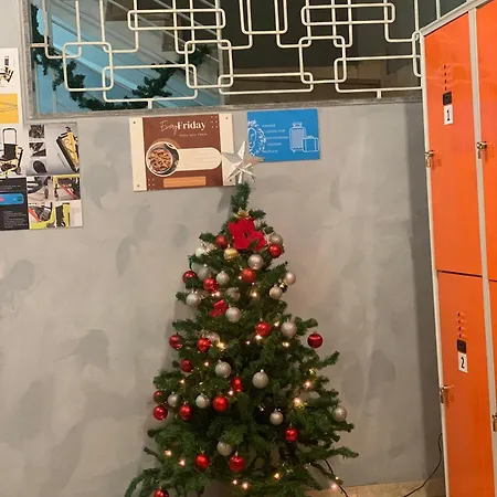 Vandrarhem Lion & Youth *