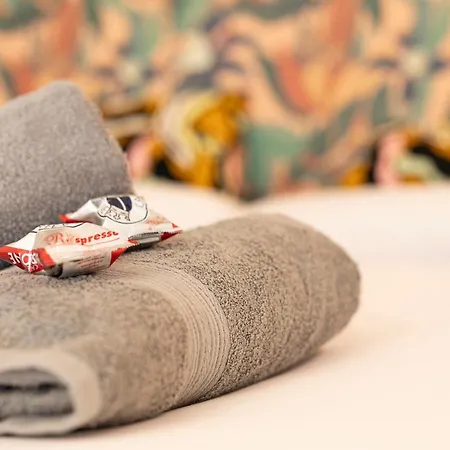 La Vecchia Milano-les Nubles Vannucci - Il Ballatoio E Il Cortile アパート