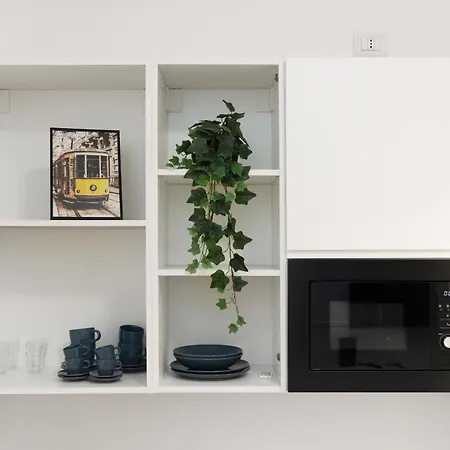 Isola Bloom - Stylish Design Flat