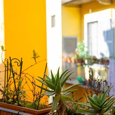 La Vecchia Milano-les Nubles Vannucci - Il Ballatoio E Il Cortile Daire *