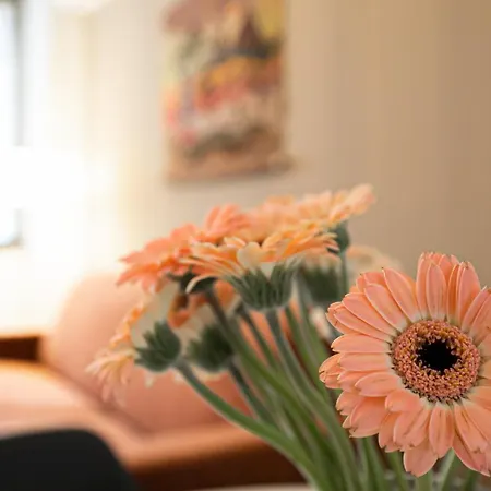 Italianway Comfort - Bergamo 11 A