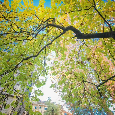 The Grove * ميلان