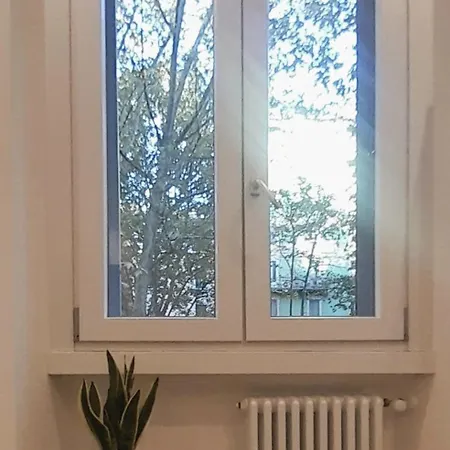 Sole Fiori Milán