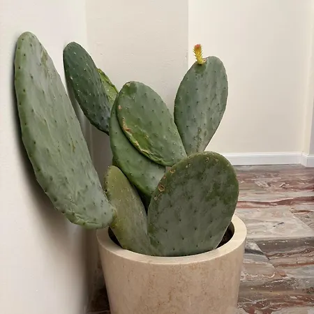 ゲストハウス Califla 3*