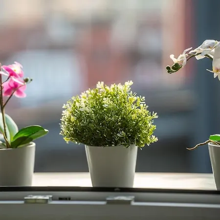 Attic Design - Duomo 15 Min - Free Wifi Апартаменты