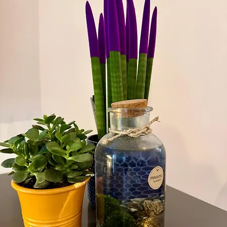 Luro - Suzzani 98 Daire Milano