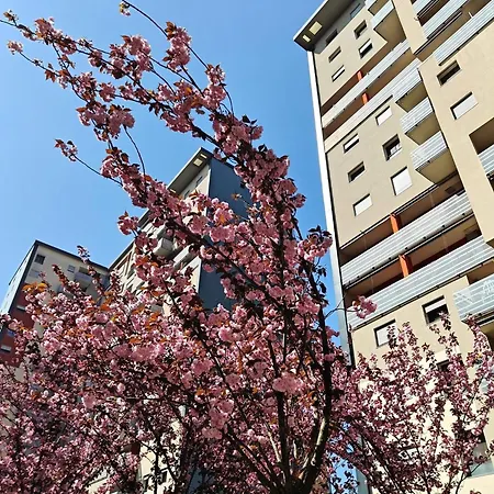 Pure - Bicocca Zona 9 * Milano