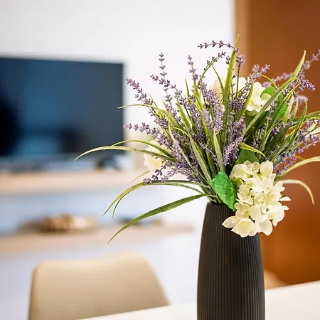 Apartment San Gregorio