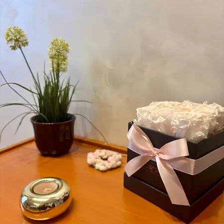 Bilo Lumiere - 1 Bedroom - Close To Gambara M1 And Tolstoj M4 Appartamento