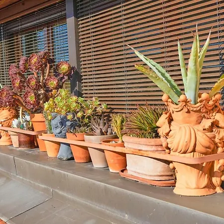 דירה Oasi Di Relax In Centro A *