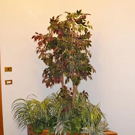 Апартаменты Mascagni Flat