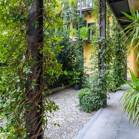 Daire Cesariano, 11 - In Vibrant Via Cesariano *