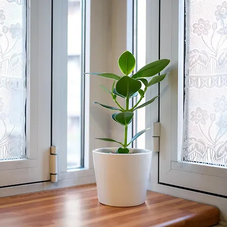 Porta Romana Living - Near Metro Station By Innstay Appartamento *
